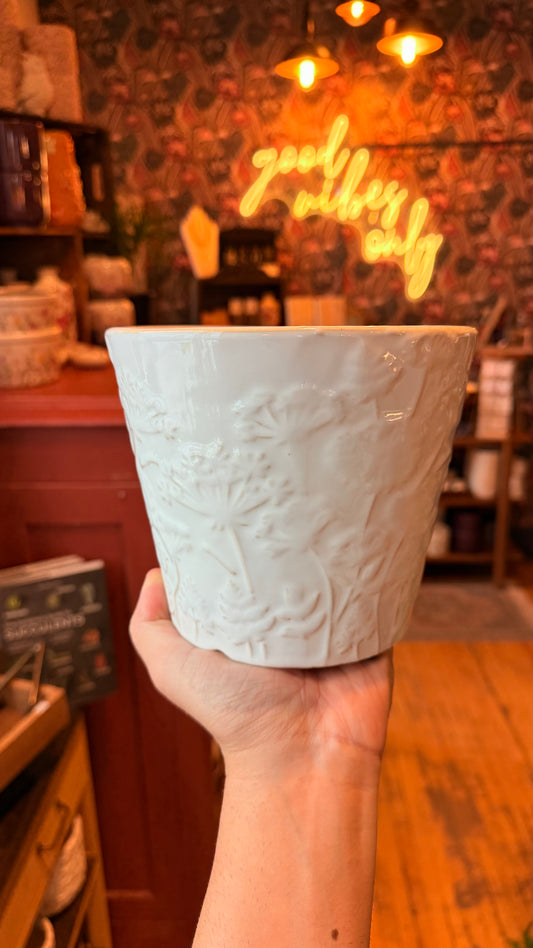 6.5” White Dandelion Planter