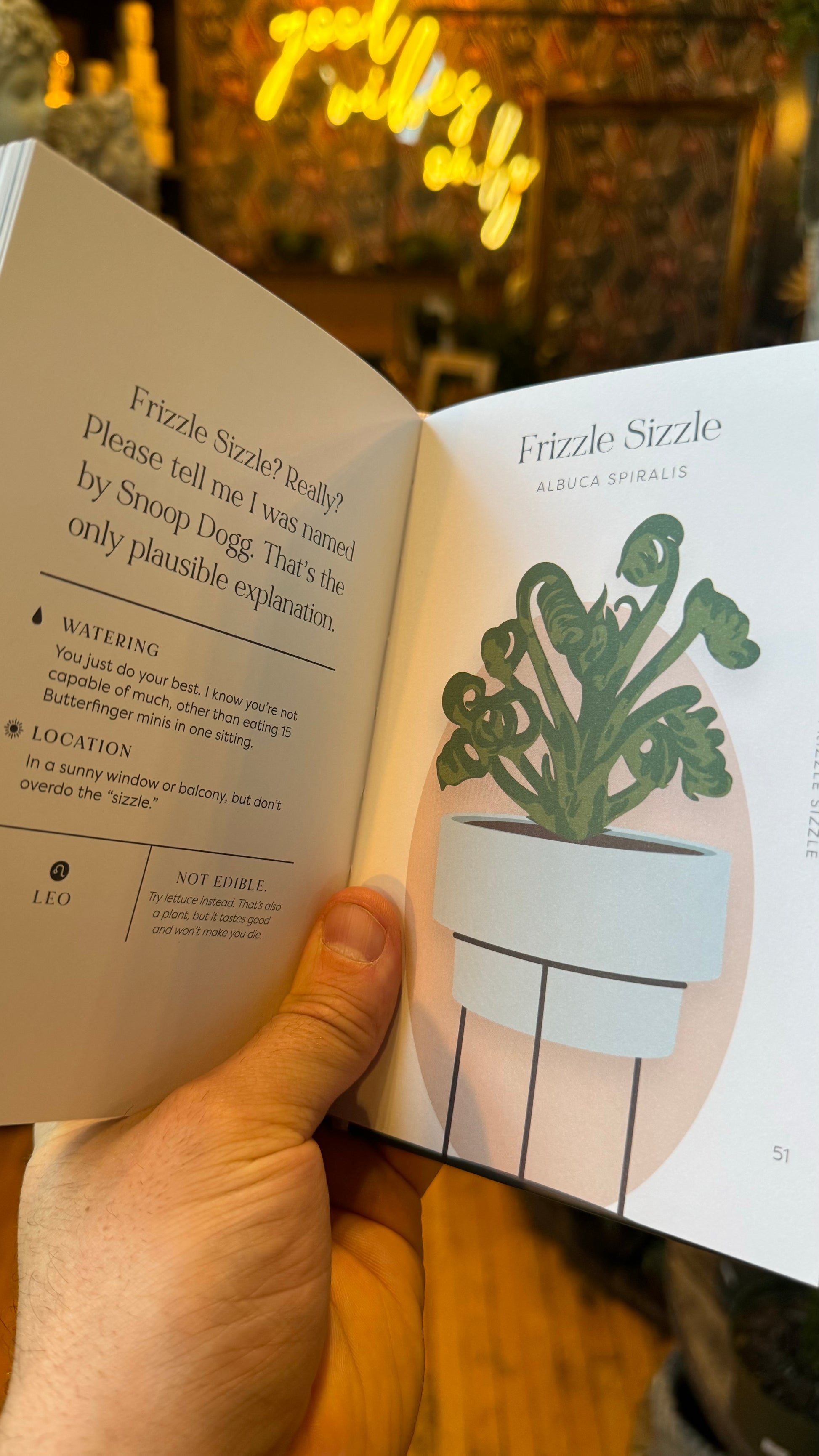 house plants and their f up thoughts House Plants and Their F*cked Up Thoughts Book – Rooted Living Designs