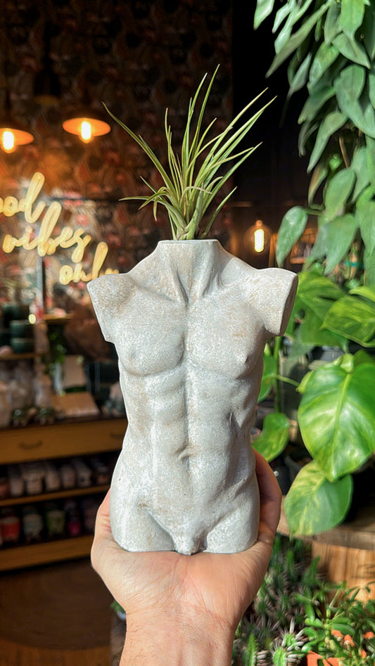 Male Torso Airplant Holder/Decor