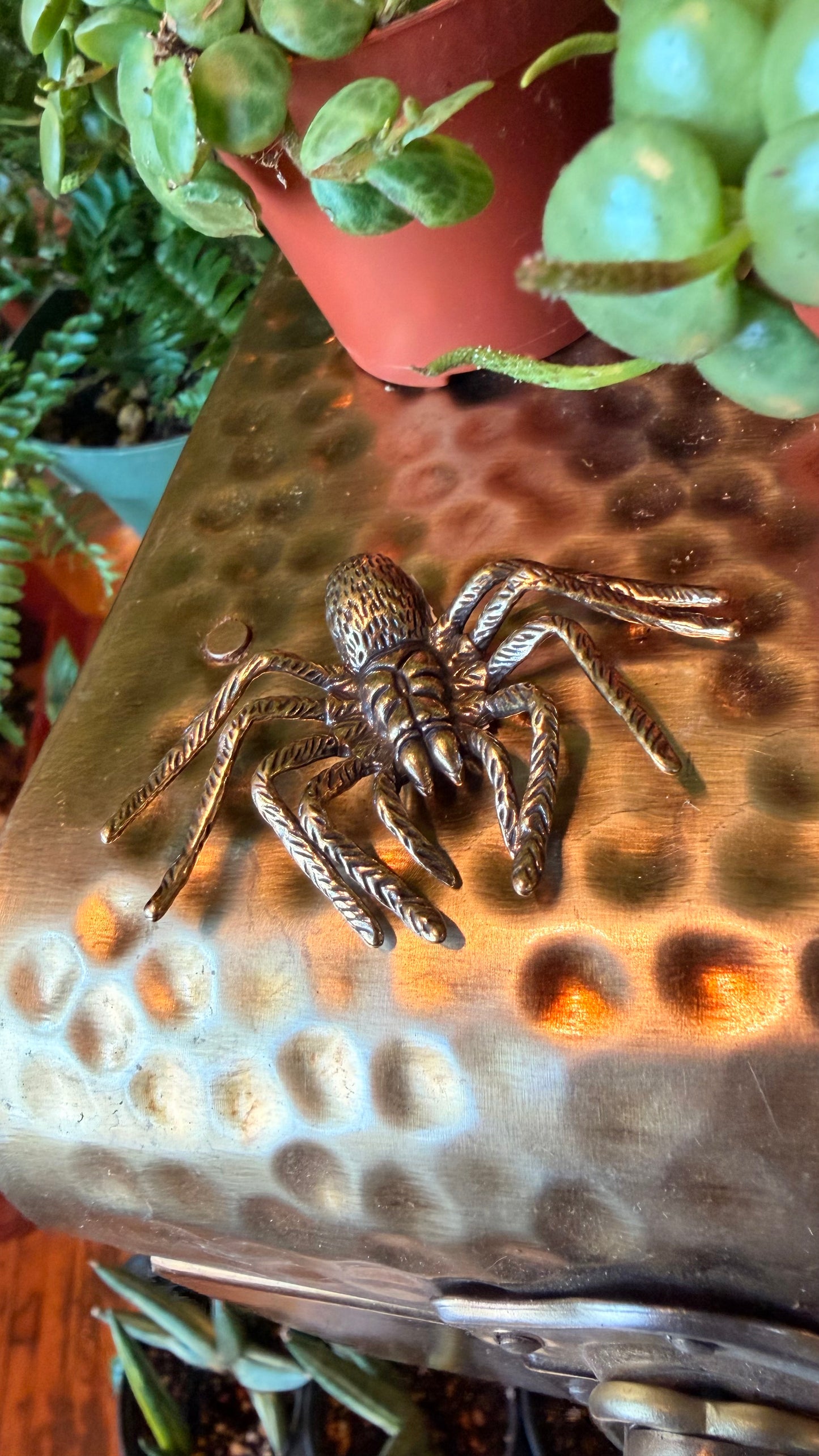 Tanner the Tarantula Spider Brass Figurine