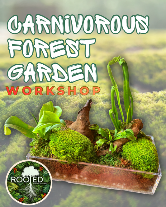Carnivorous Forest Garden Workshop