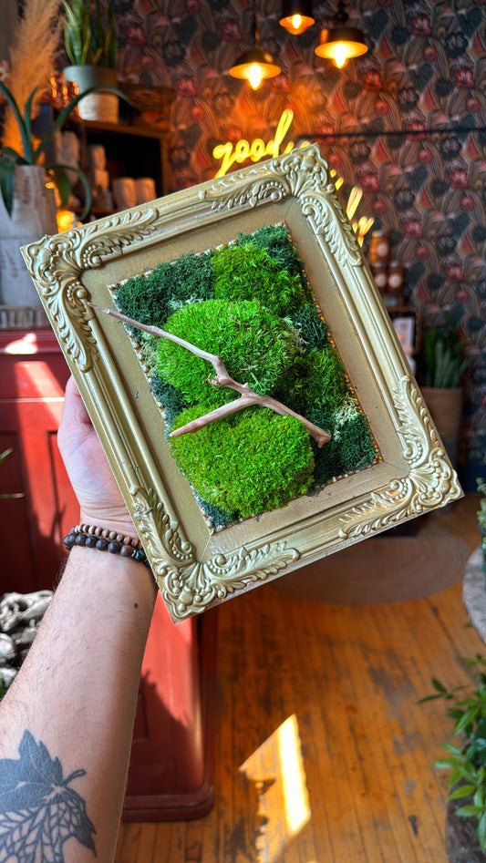 ‘Vintagi’ Moss Art Frame