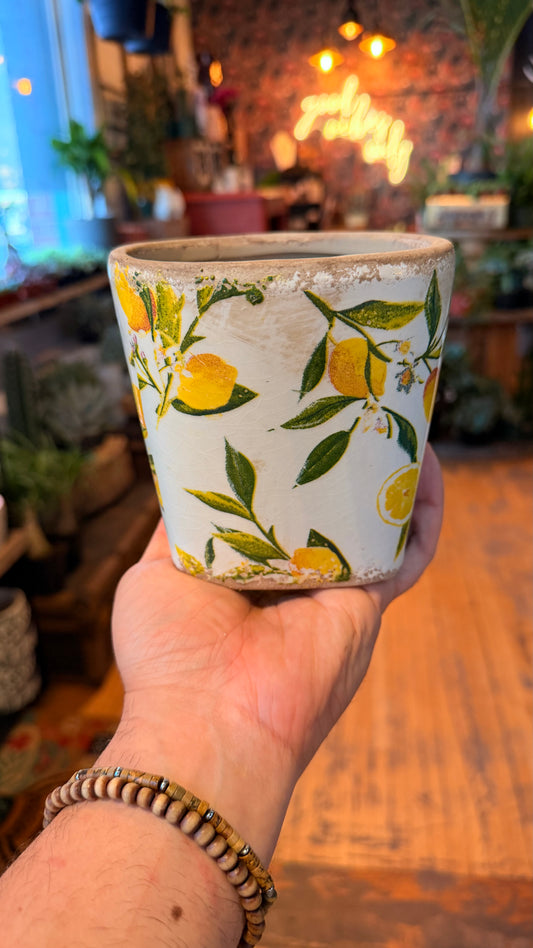 4.5” Lemon Zest Vintage Planter