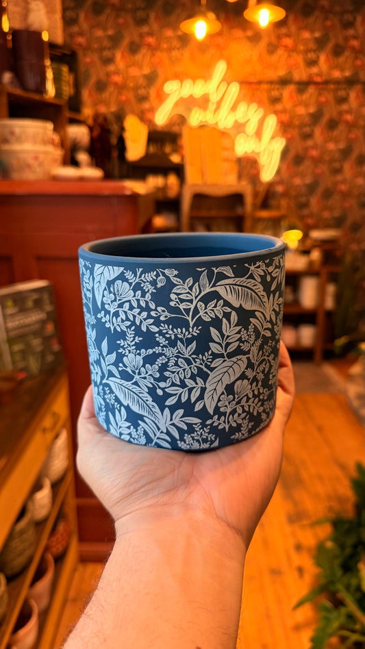 4.5” Bluvet Jungle Planter