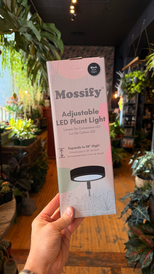 Mossify LED Grow Light - Black