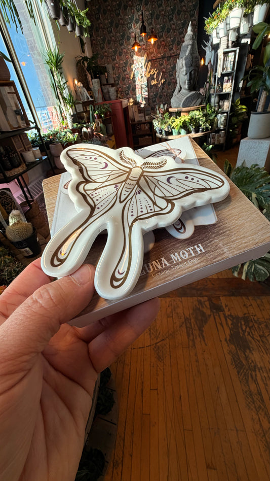 Luna Moth Trinket Tray