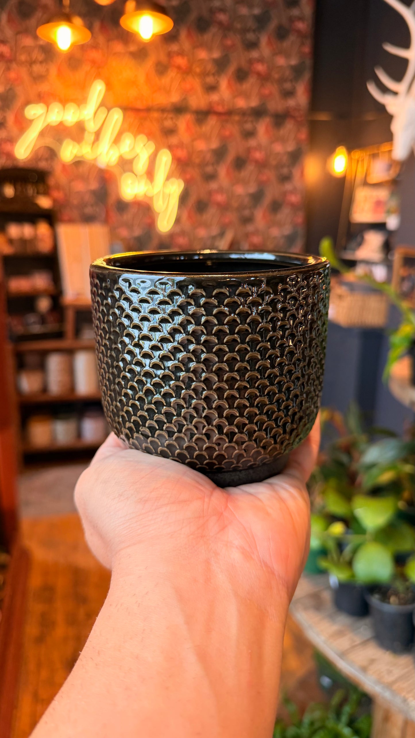 4” Black Scaled Planter