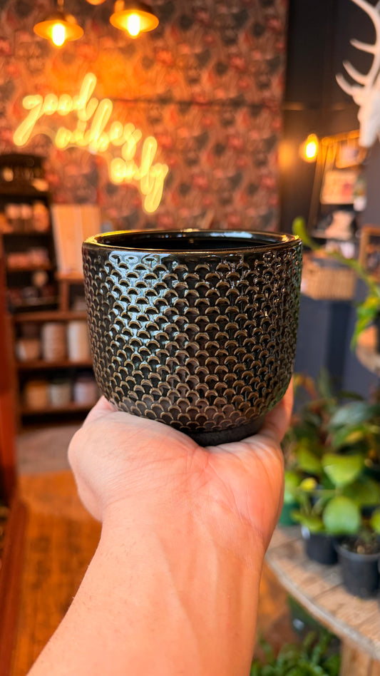 4” Black Scaled Planter