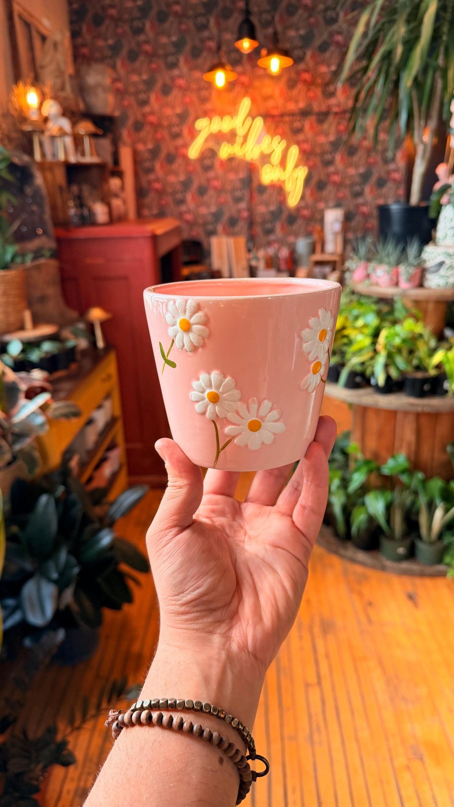 4.5” Daisy Fields Planter