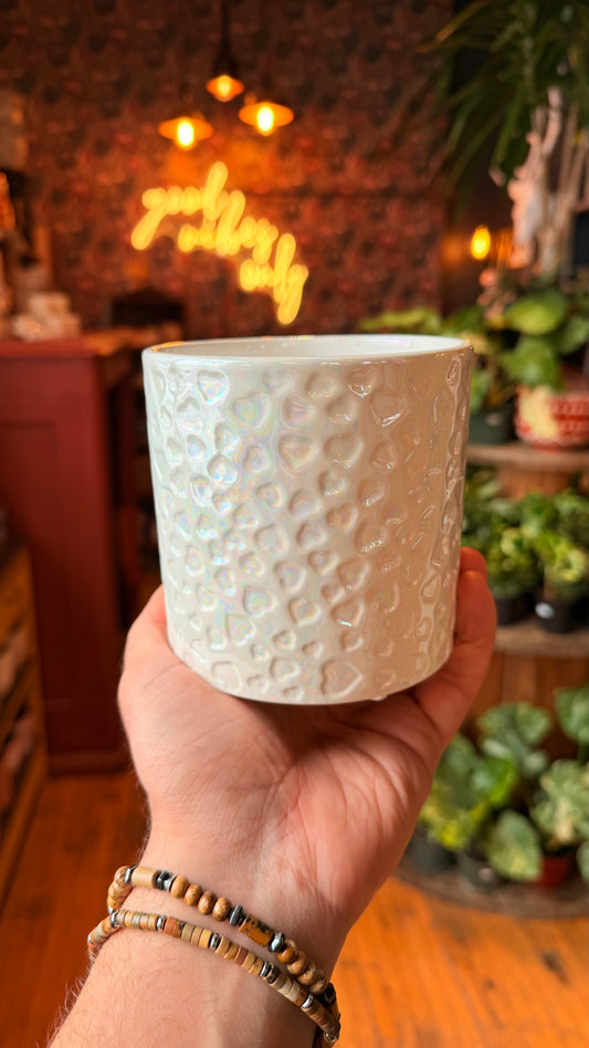 4.5” Glitter Hearts Planter