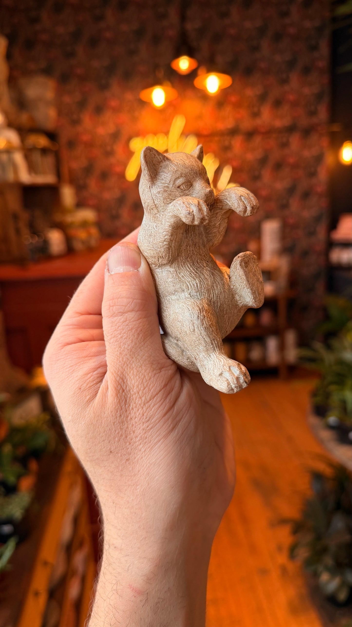 Kozy Kitty Plant Buddy