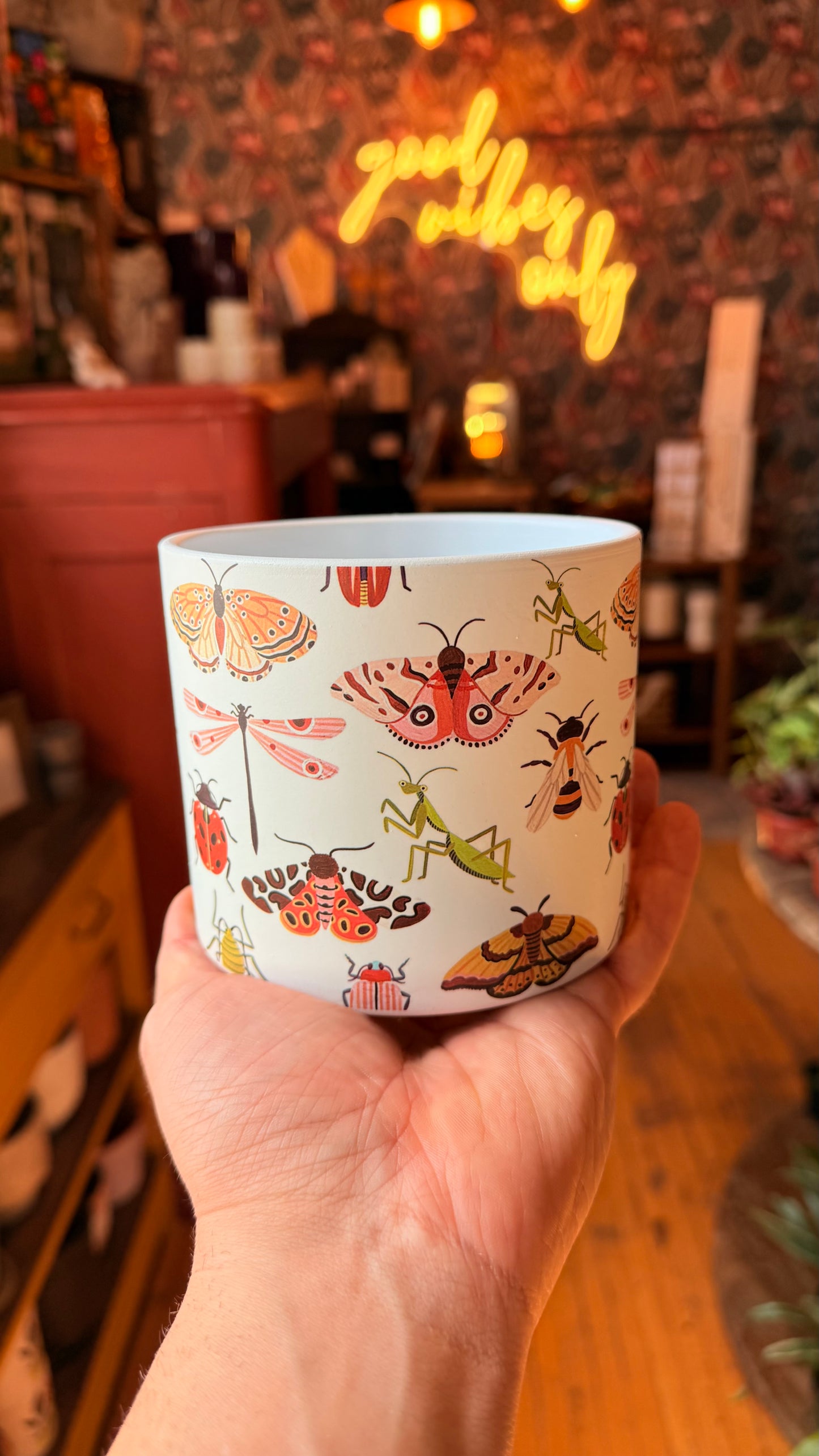 4.5” Allover Bugs Planter