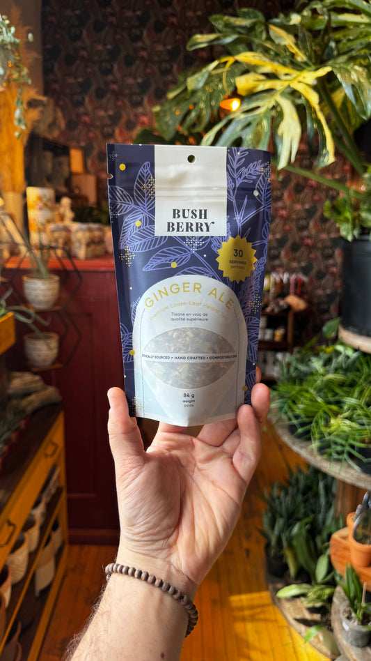 Bush Berry Tea - Ginger Ale