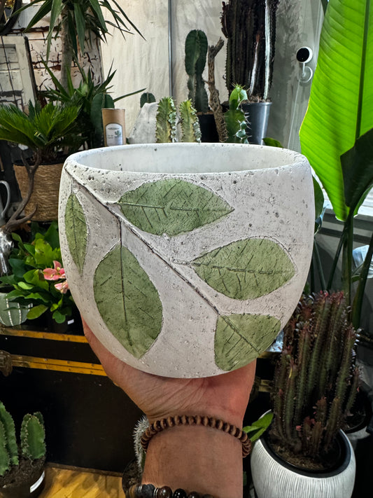 6.5” Green Leaf Planter