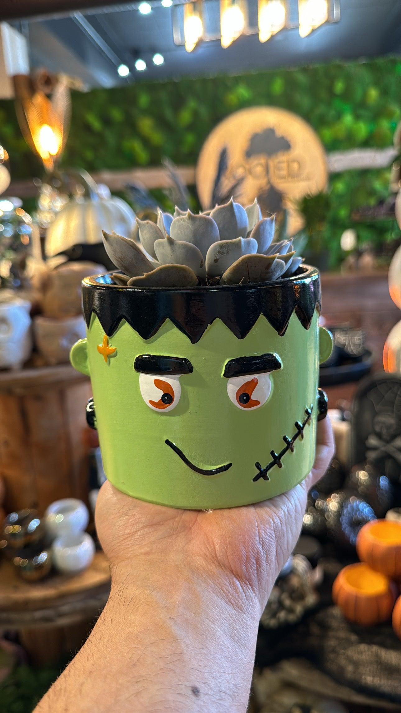 Frankenstein Planter Combo