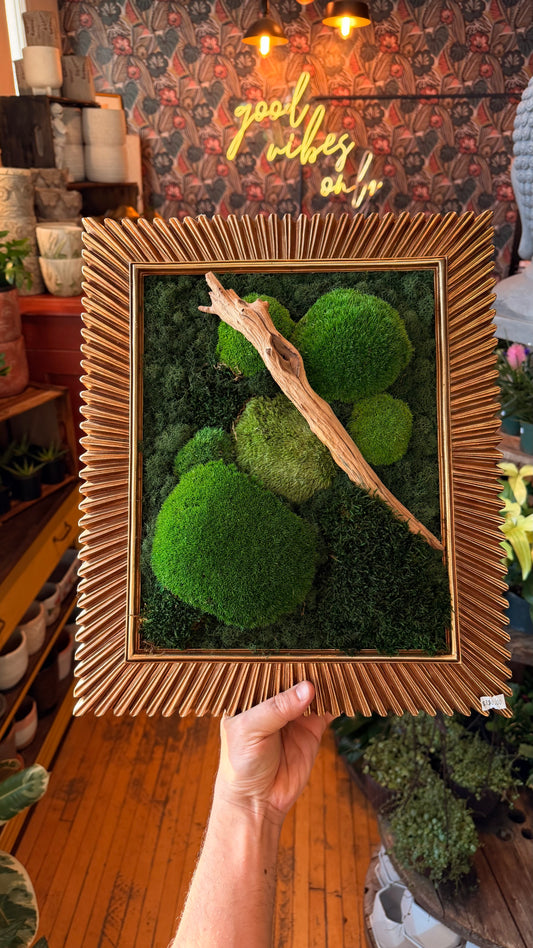 XL Golden Edge Frame ‘Maraj’ Moss Art