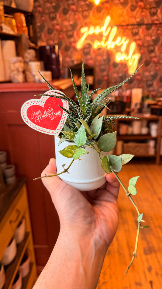 Small Mothers Day Arrangements