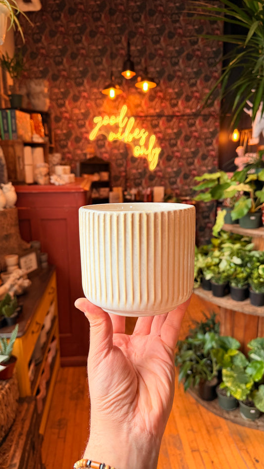 4.5” White Ribbed Planter