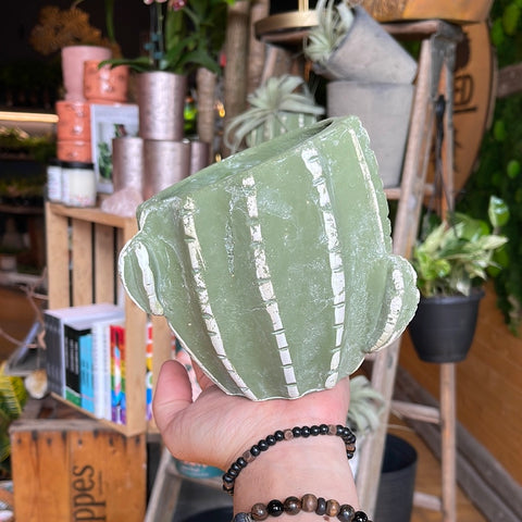 5” Prickly Pear Cactus Pot