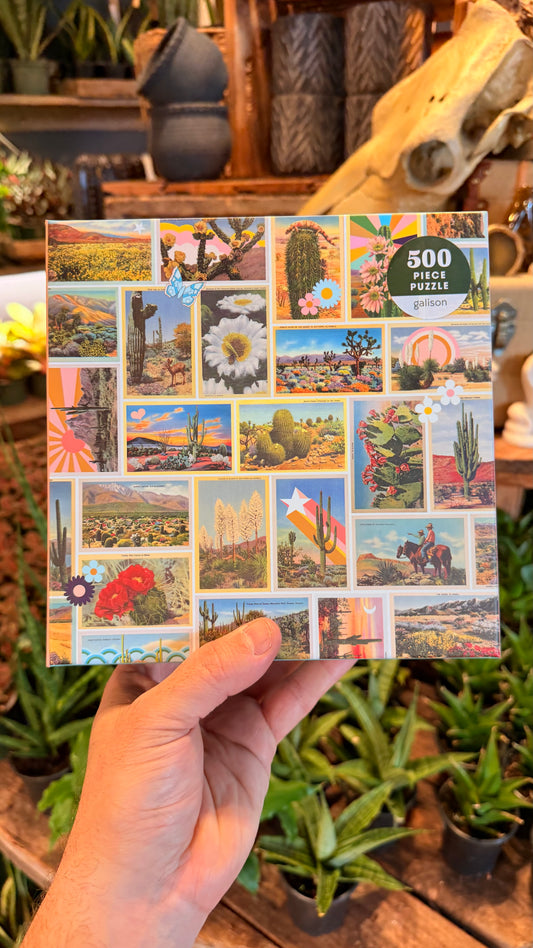 Desert Star - 500 Piece Puzzle