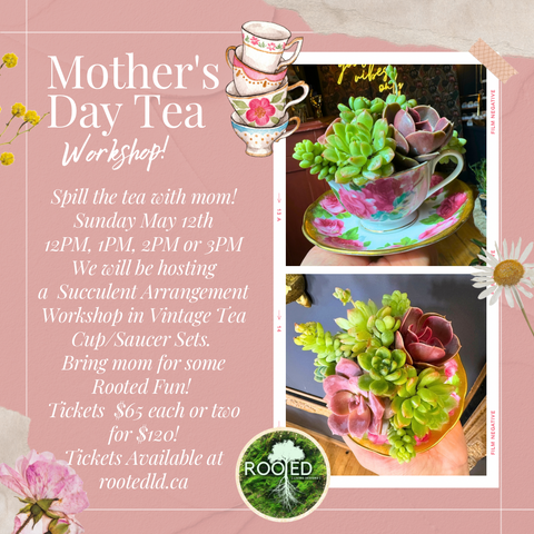 Mother’s Day Tea Workshop
