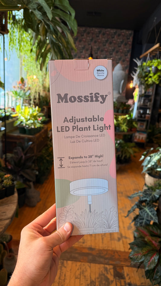 Mossify LED Grow Light - White