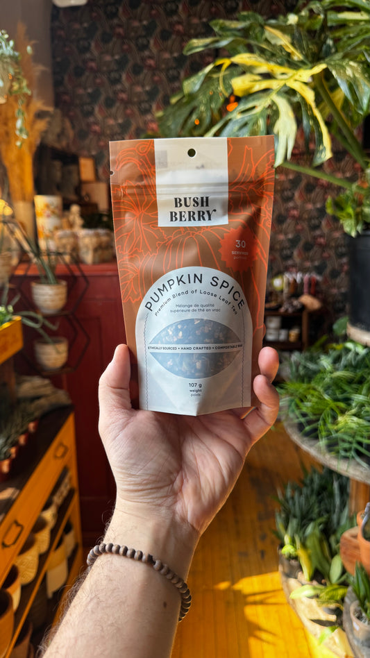 Bush Berry Tea - Pumpkin Spice