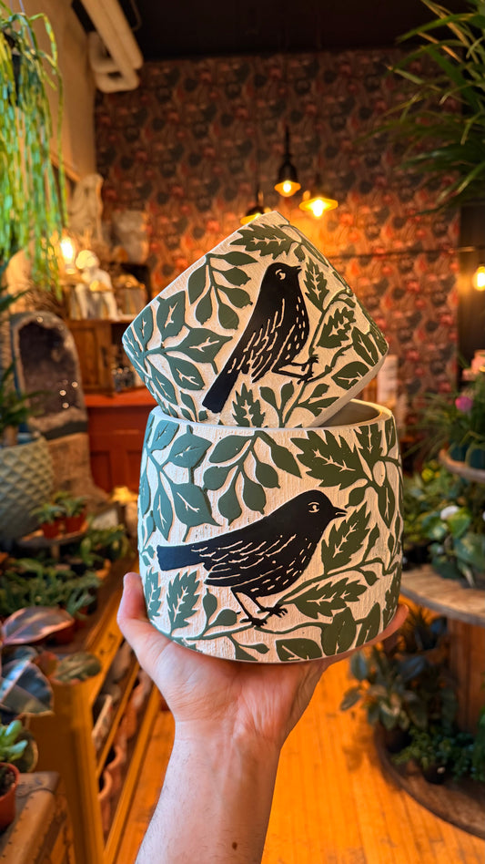 Black Bird Beauty Planter Collection