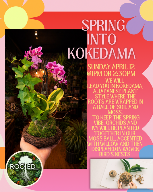Spring Into Kokedama Workshop