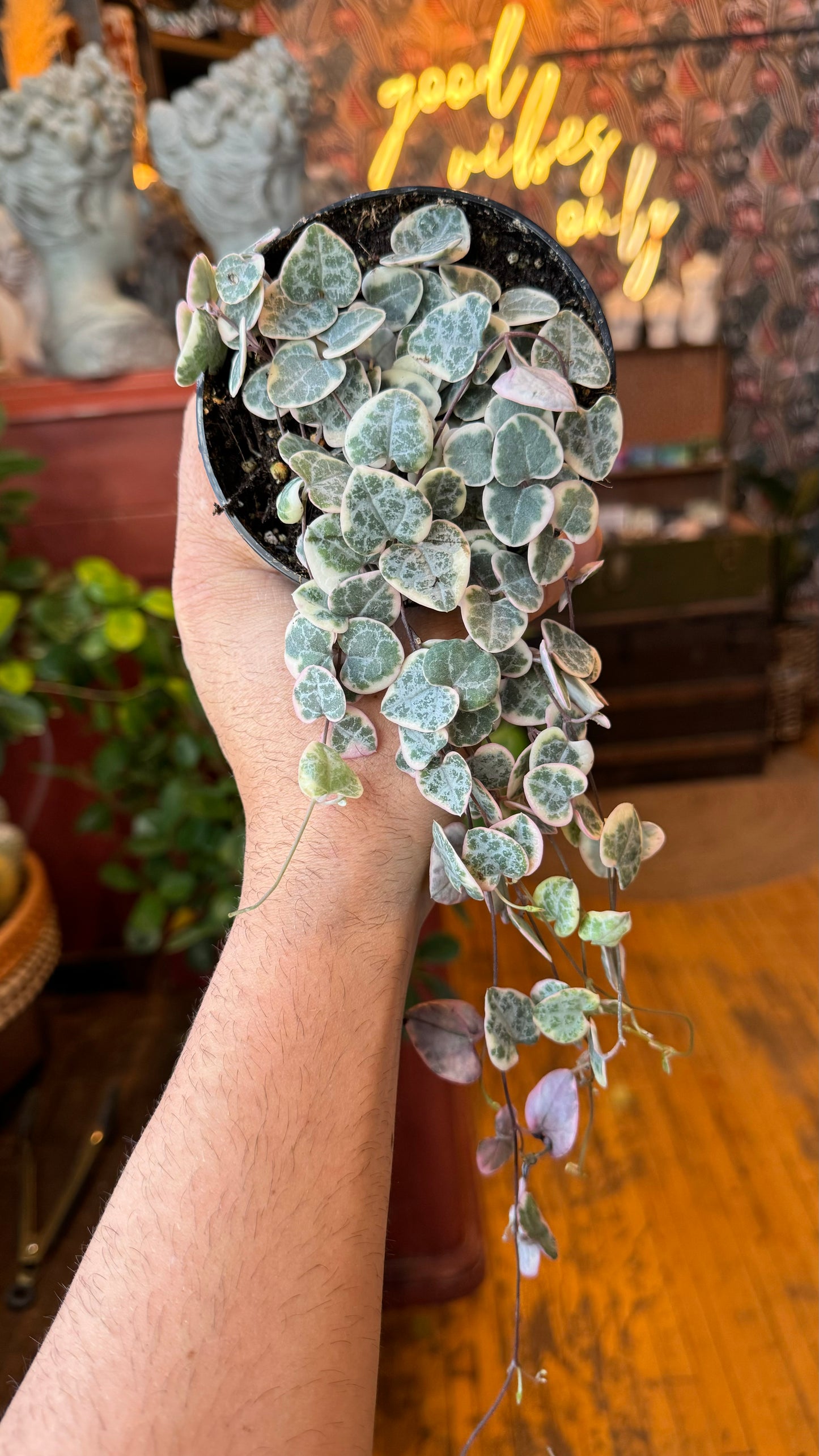 4” String of Hearts Variegated