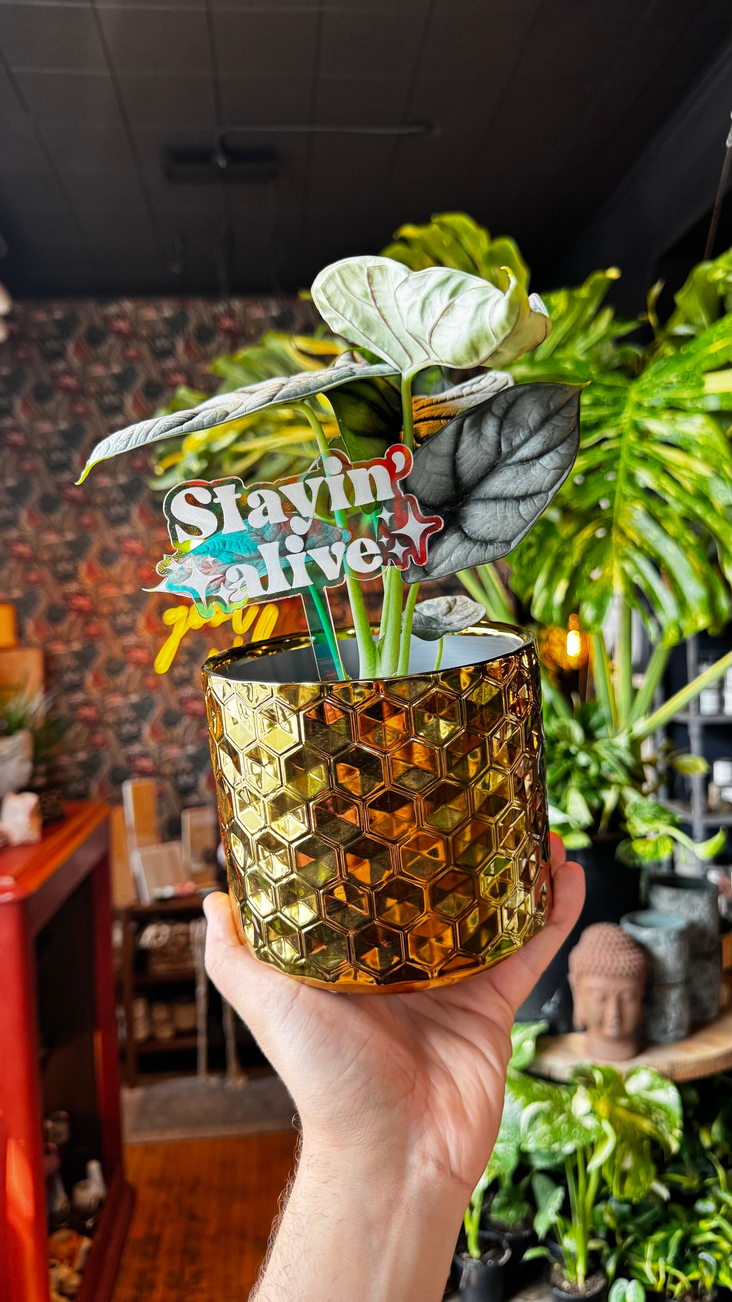 ‘Stayin’ Alive’ Iridescent Plant Stakes