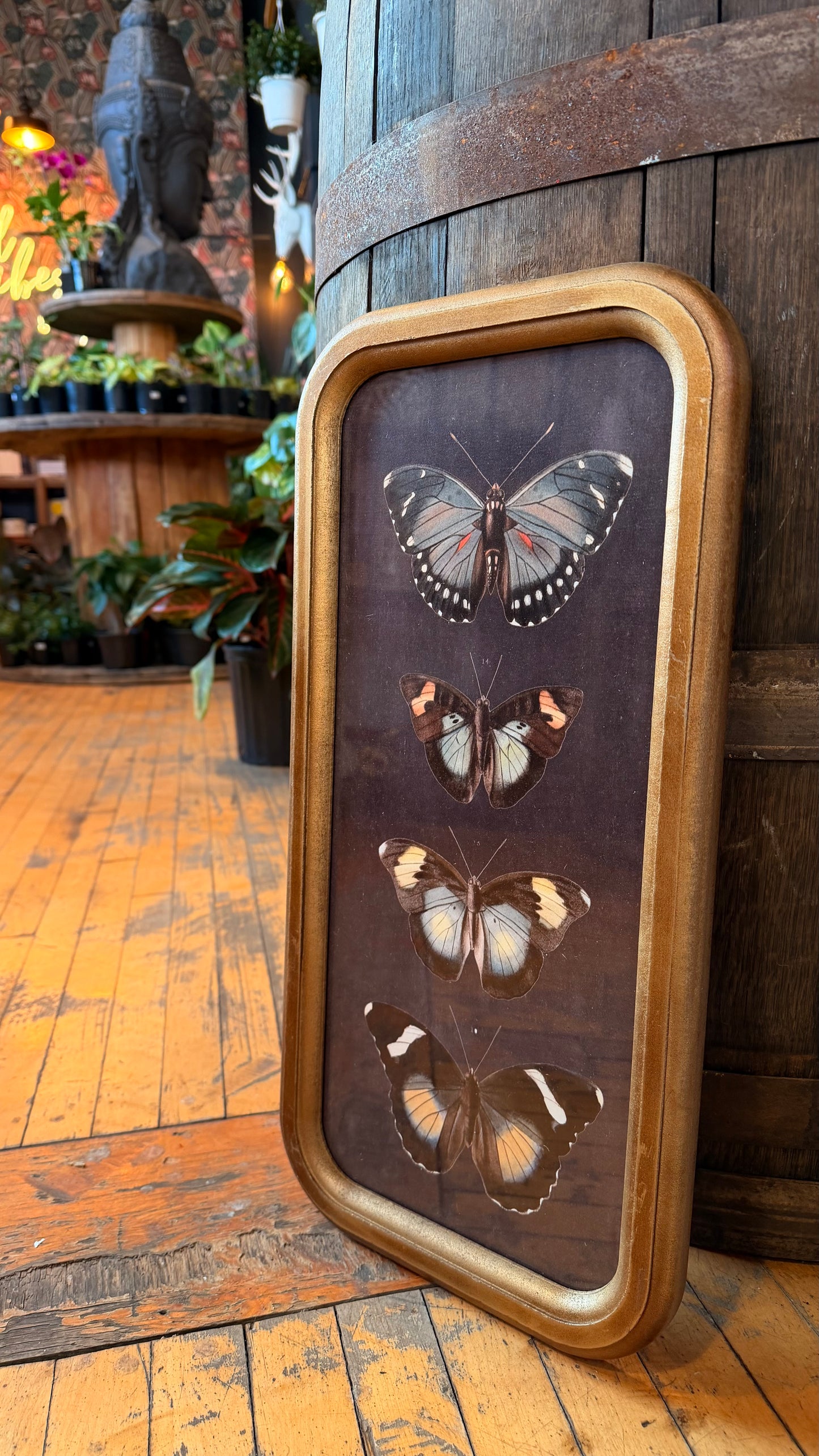 Morpho Butterfly Artwork