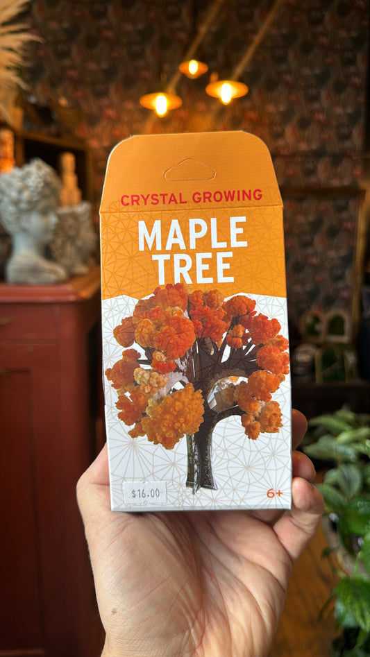 Crystal Growing Kit - Maple Tree