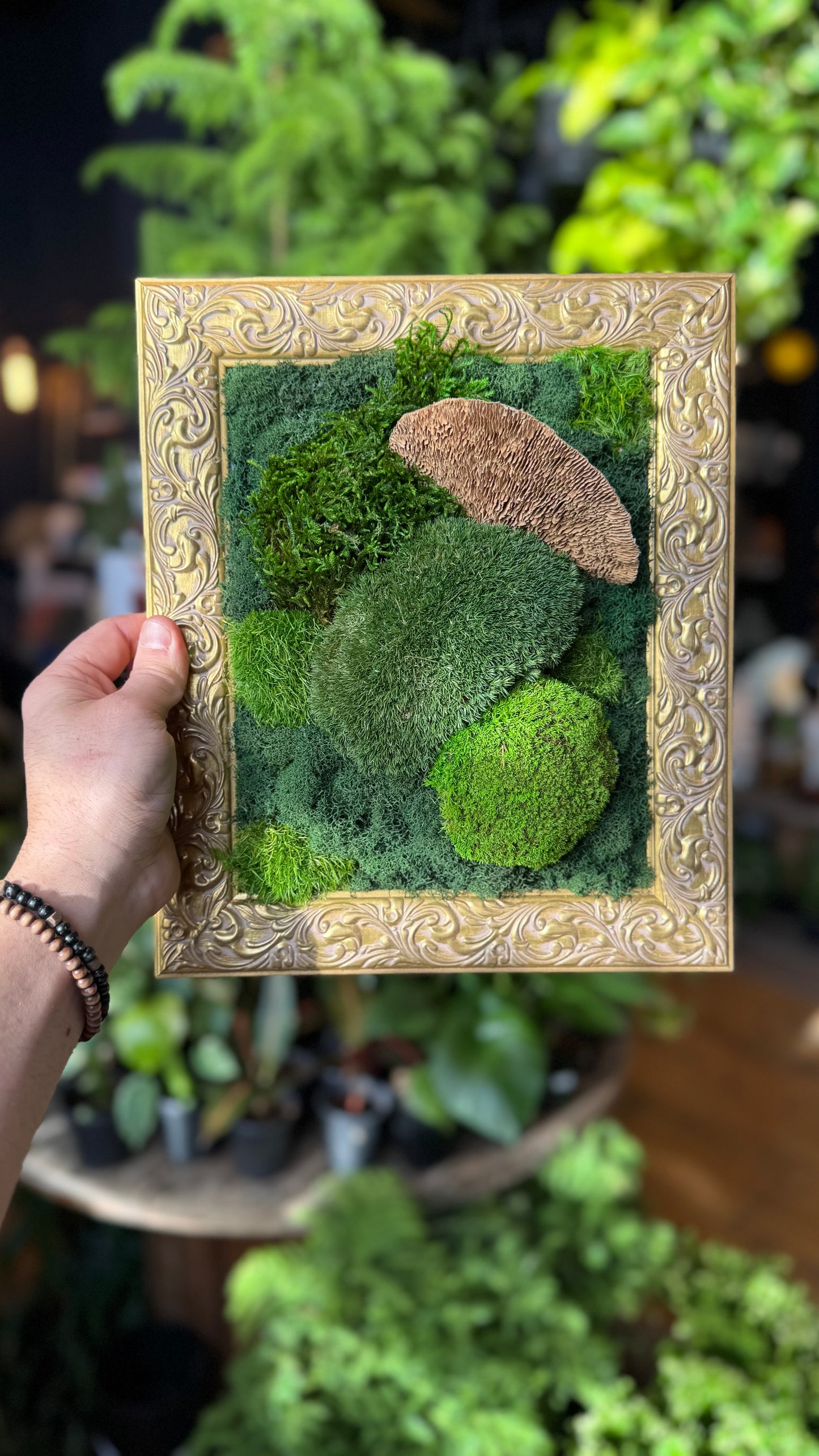 ‘Gloss’ Gold Frame Moss Art