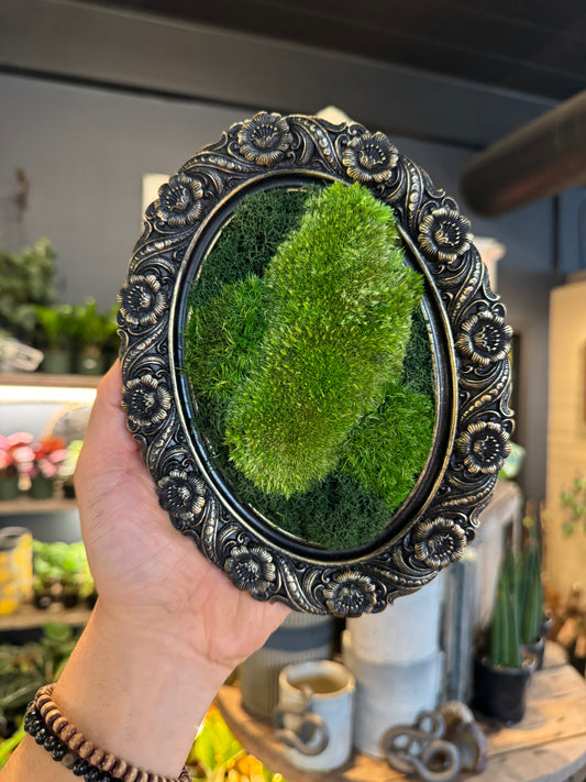 ‘Gothika’ Small Moss Art Frame