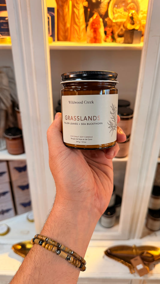 Wildwood Creek - Grasslands