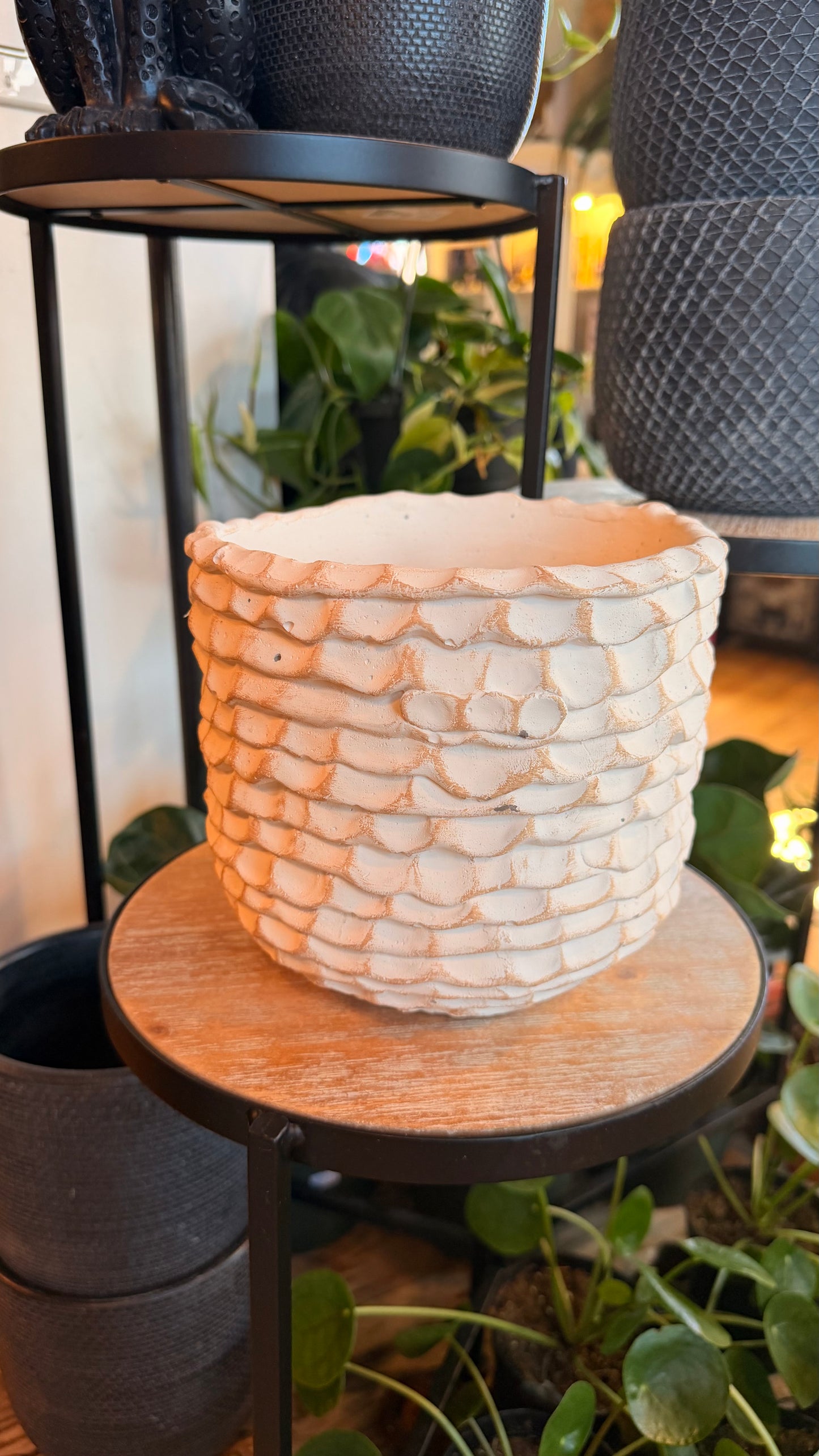 6.5” Pastelle White Planter