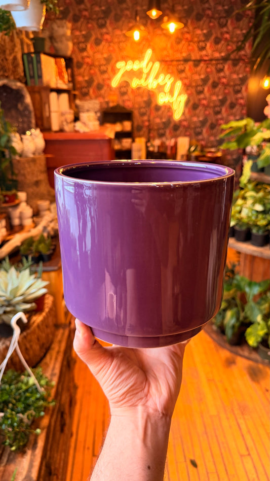 6.5” Silas Plum Plantet