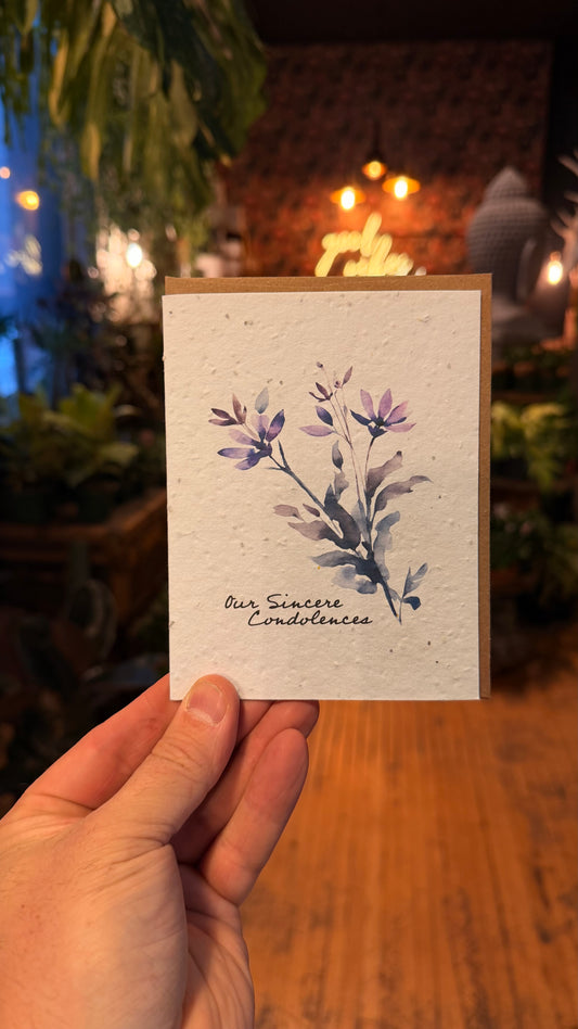 Plantable Cards - Sorry For Your Loss