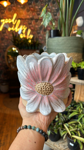 5.5” Pink Daisy Planter