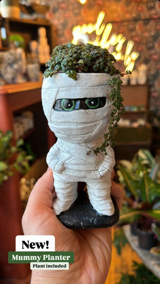 Mummy Halloween Planter Combo