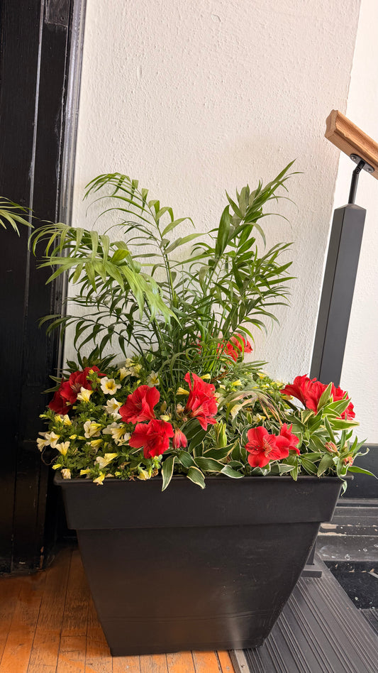 17” Outdoor Planter Arrangements