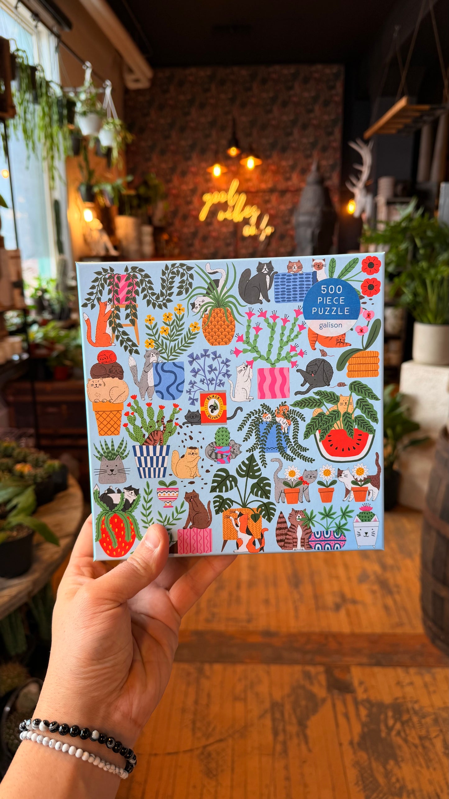 Cats in the Houseplants - 500 Piece Puzzle