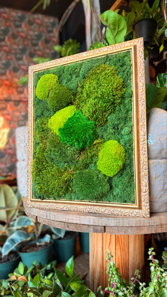 XL ‘Majest’ Moss Art