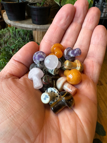 Mini Mushroom Crystals Assorted