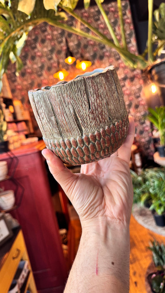 4.5” Acorn Rustic Planter