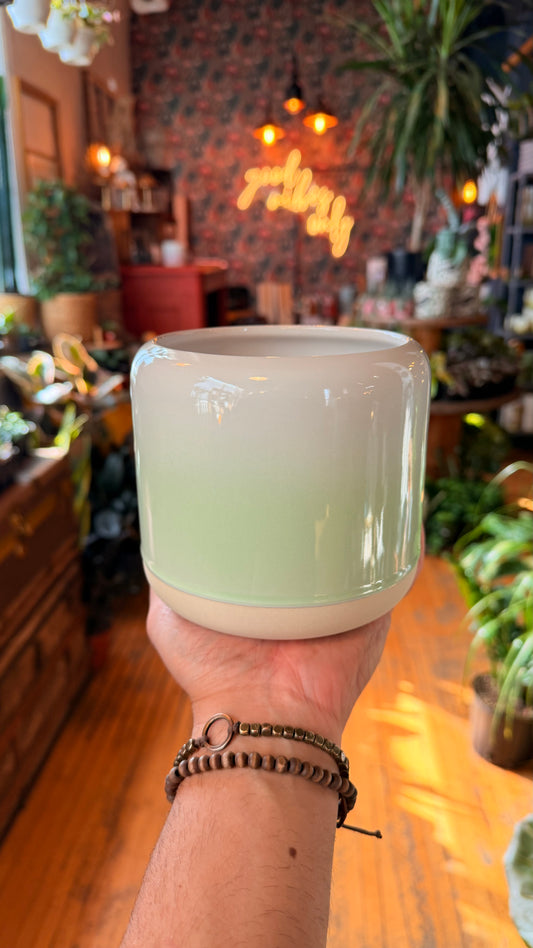 5” Neon Lights Green Planter