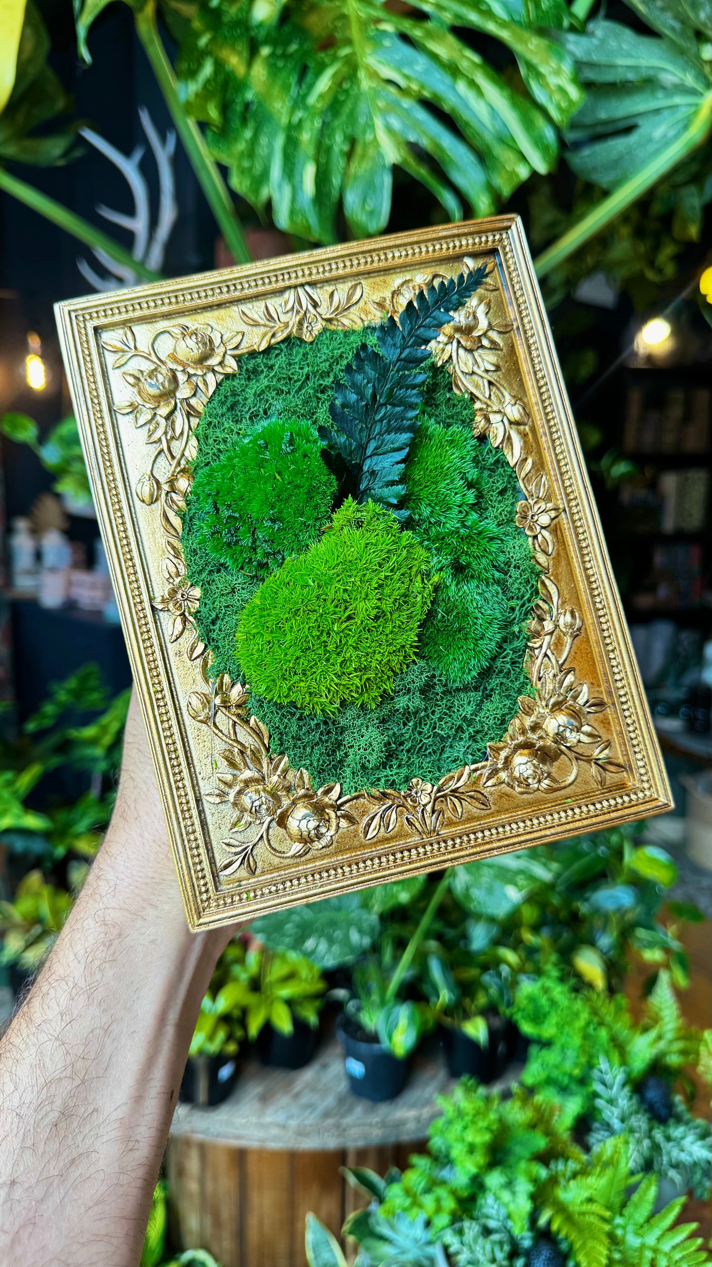 Small ‘Rosewater’ Frame Moss Art