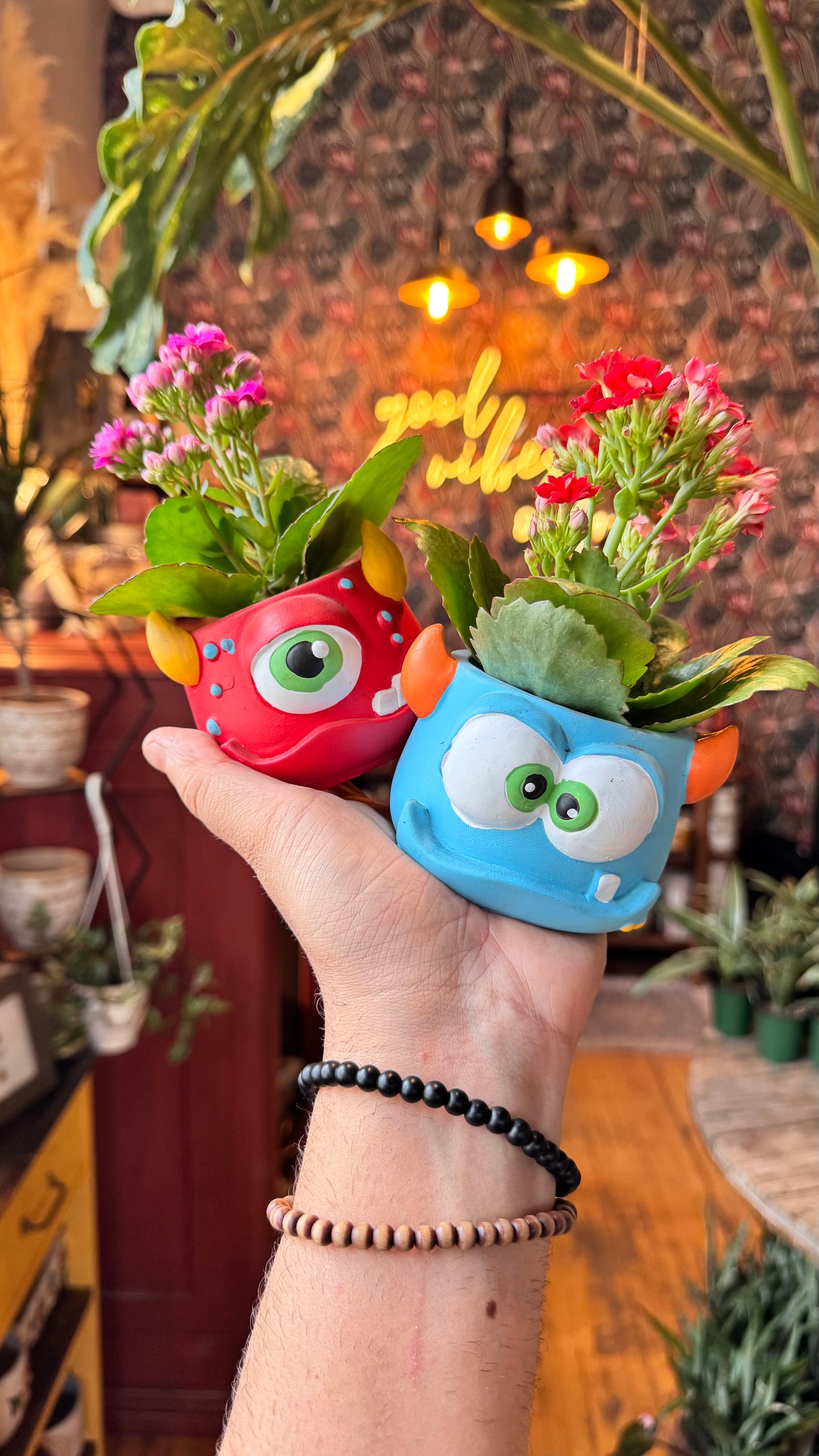 2.5” Blinky The Monster Planter Assorted Colours