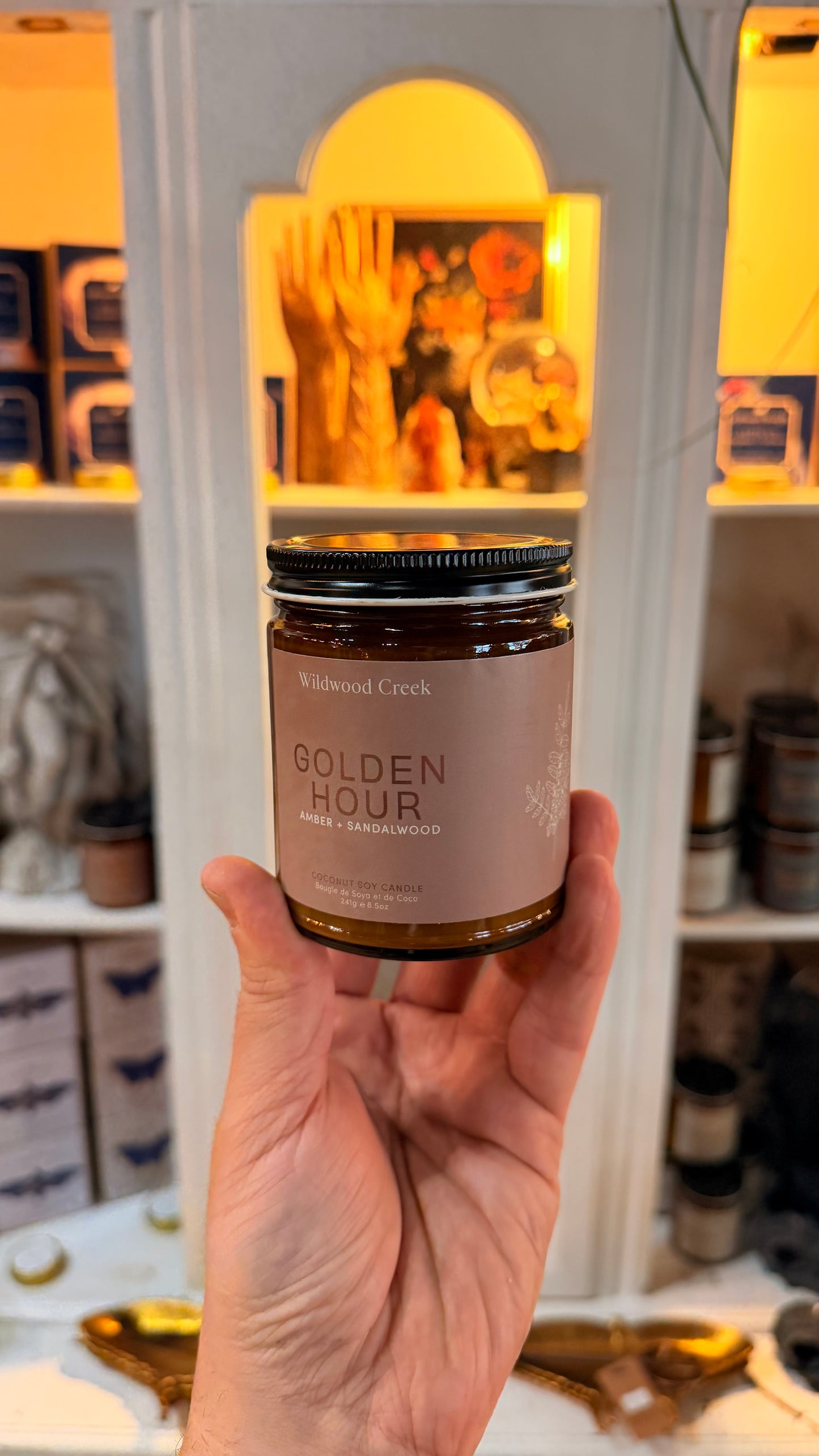 Wildwood Creek - Golden Hour